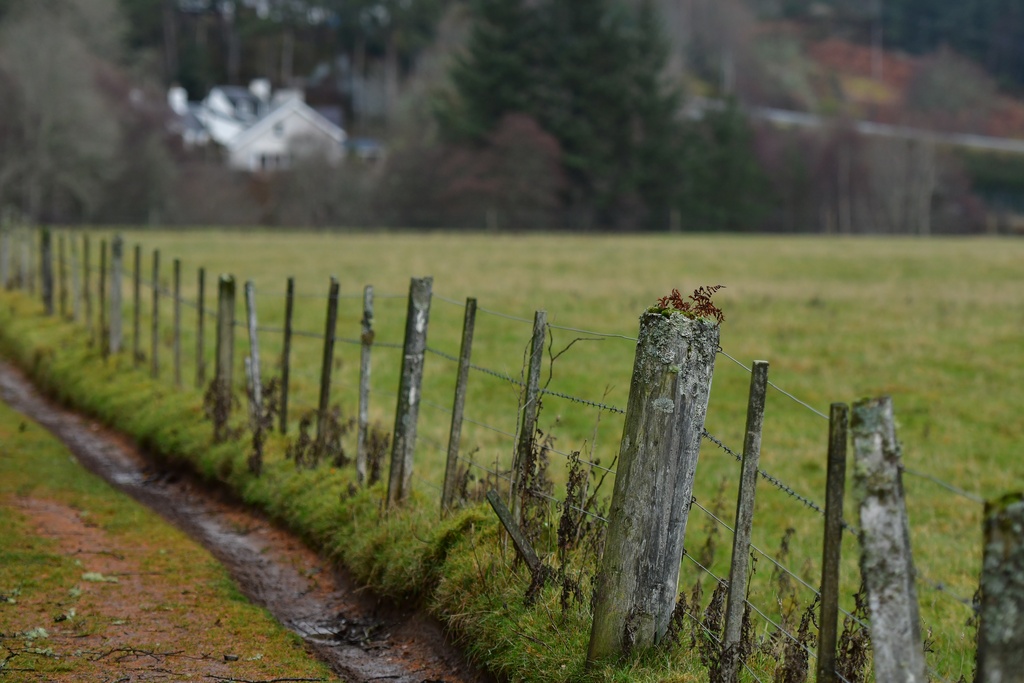 2018-11 Scotland/Foyers/DSC_7591.JPG